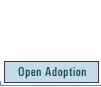 Kinship Adoption