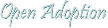 Open Adoption
